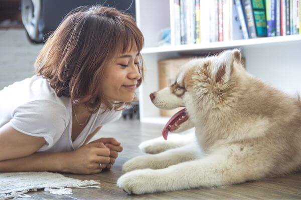 Cómo tratar la ansiedad en los animales de compañía