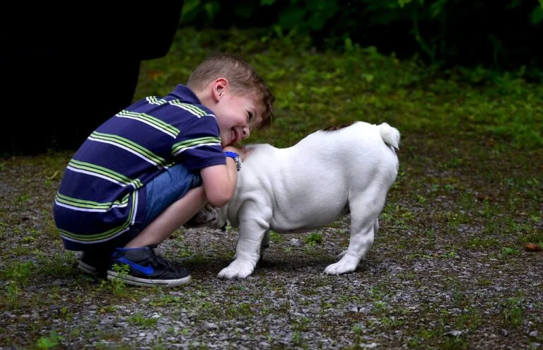 O Poder Terapêutico dos Animais de Estimação