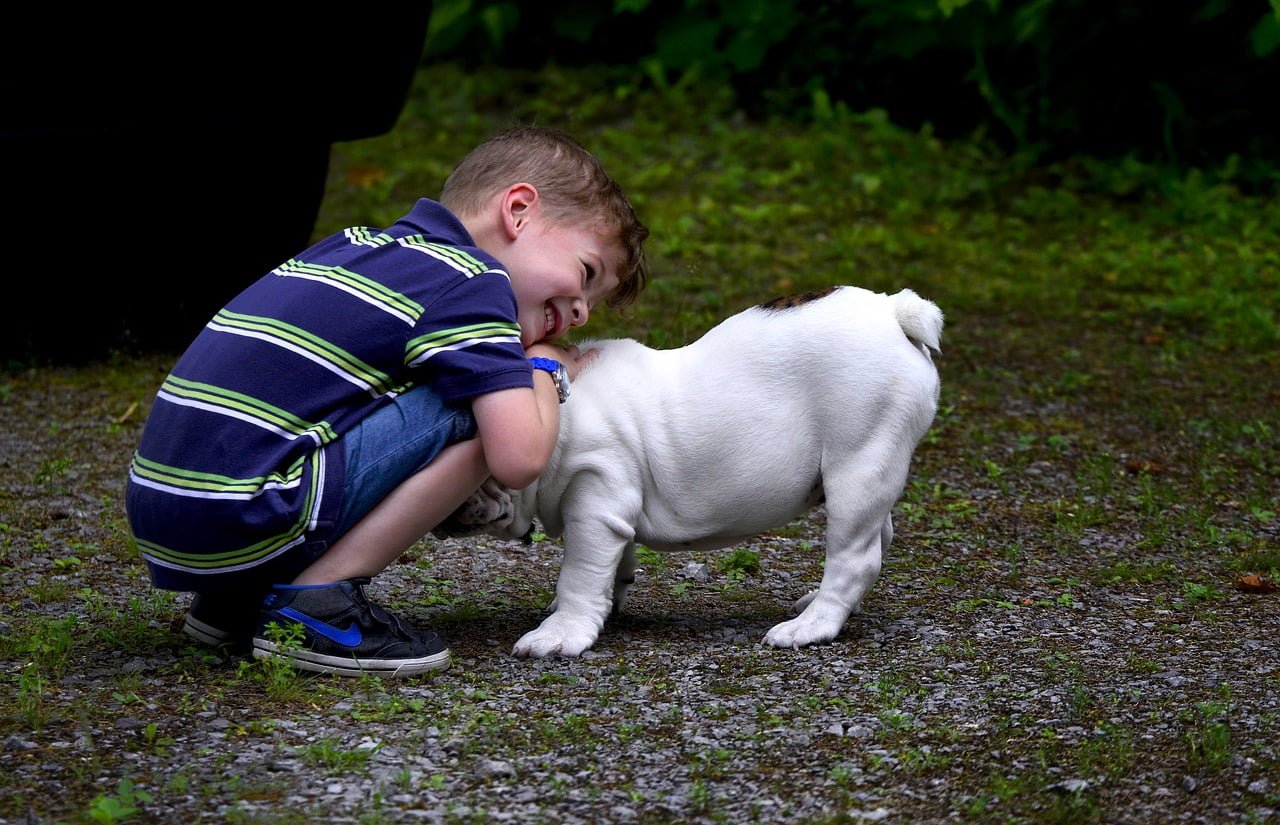 Le pouvoir thérapeutique des animaux de compagnie