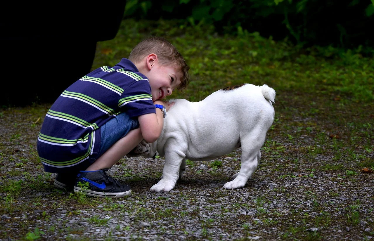 O Poder Terapêutico dos Animais de Estimação