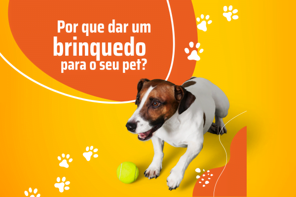 Por que dar brinquedos para seu pet?