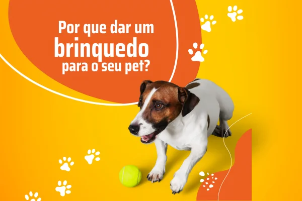 https://vettopbr.com/por-que-dar-brinquedos-para-seu-pet/