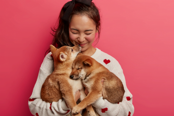 O Poder Curativo das Terapias com Animais