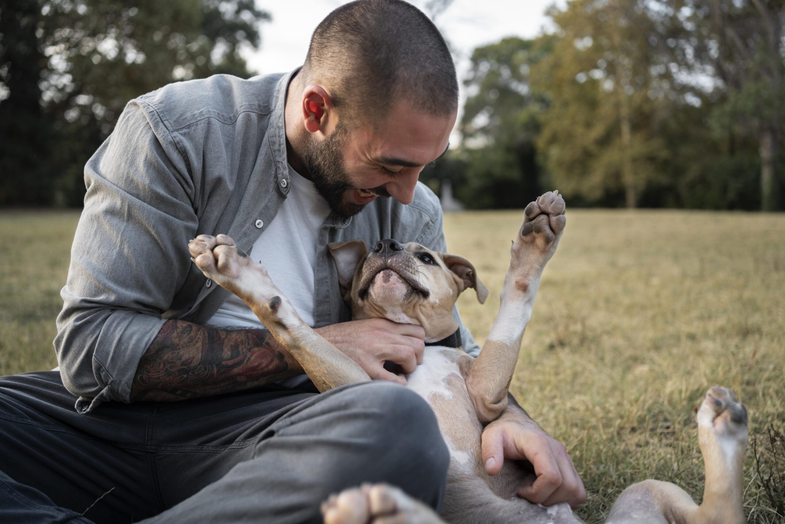 Sharing Joy: How Animals Improve Our Lives