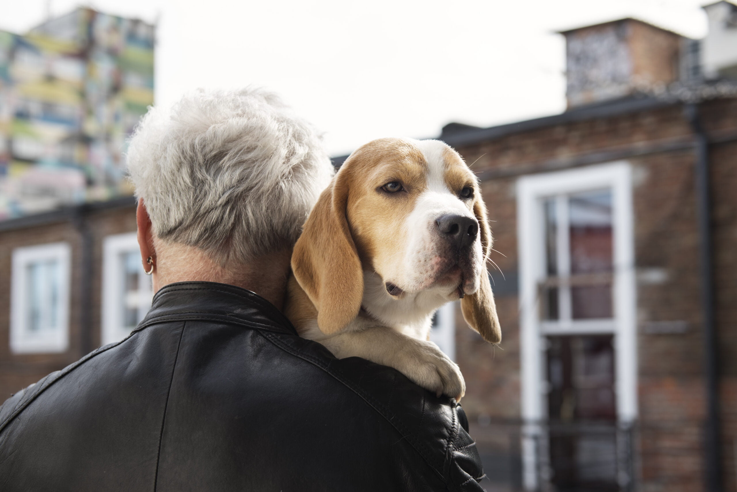 A influência da nutrição na saúde e longevidade dos pets