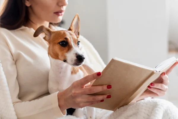 La mémoire du chien :