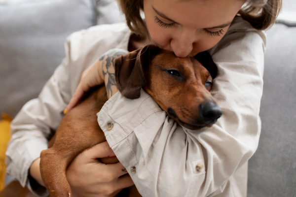 Terapeutas de Quatro Patas: Como Cães Ajudam Pessoas com Depressão