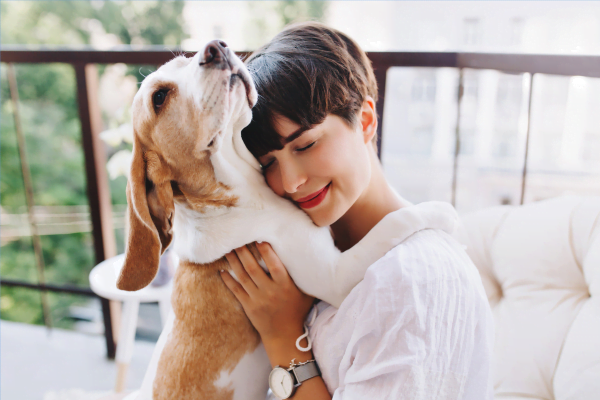 Terapeutas de Quatro Patas: Como Cães Ajudam Pessoas com Depressão