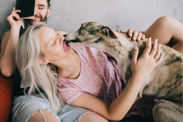 Por que os cachorros lambem as pessoas?