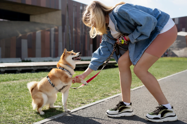 Cuidados al pasear a su mascota