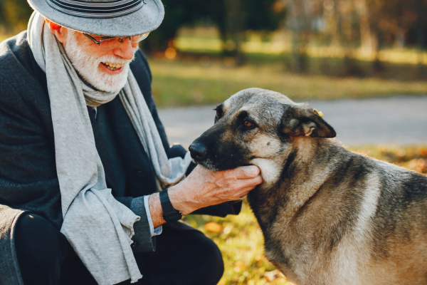 Glucosamina para cães1