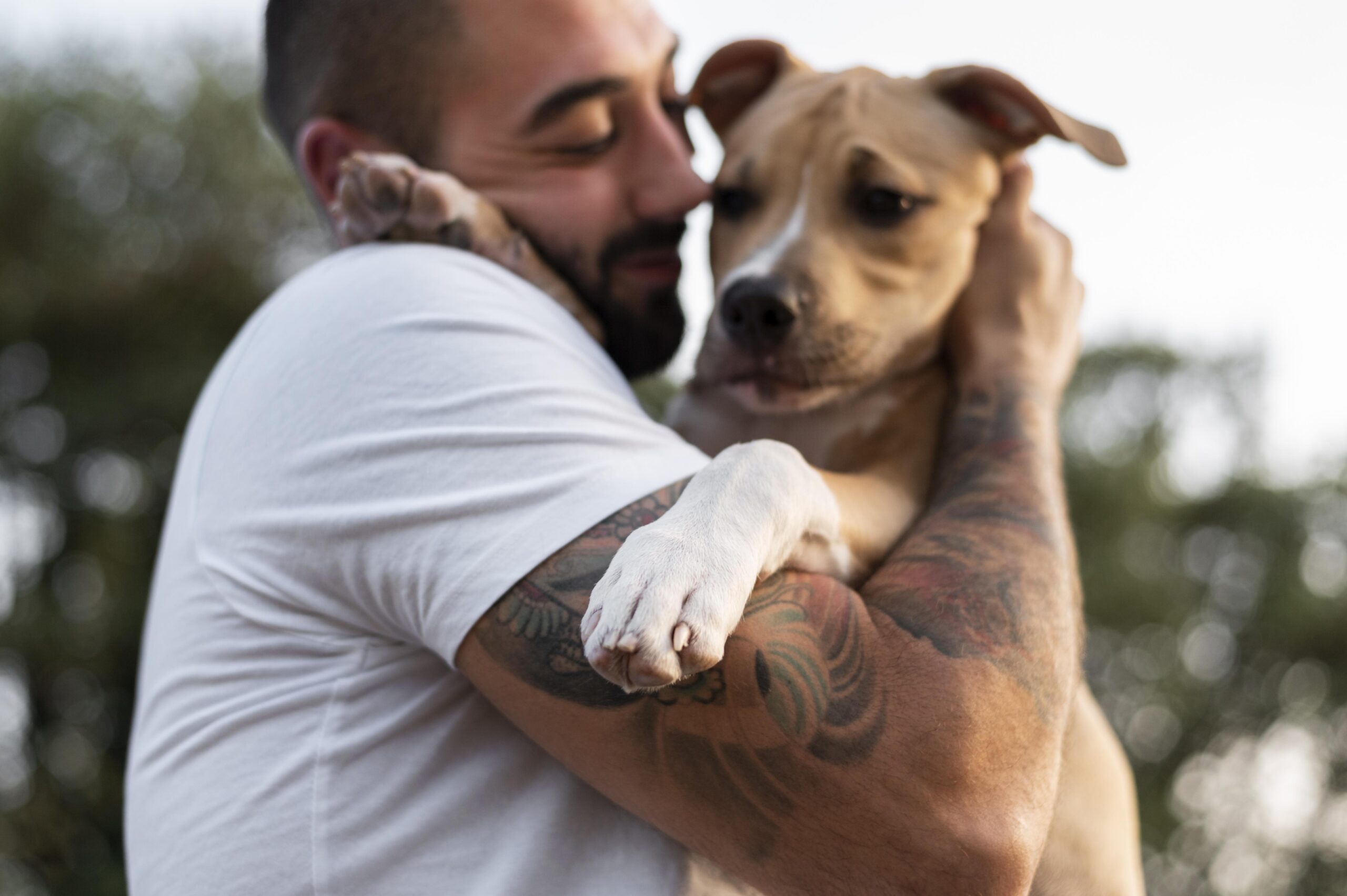 Adottare un animale domestico