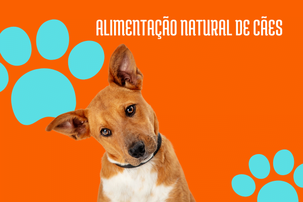 ALIMENTAÇÃO NATURAL DE CÃES