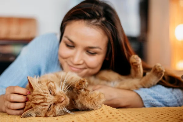 11-Gatos hipoalergénicos para personas alérgicas-1.png