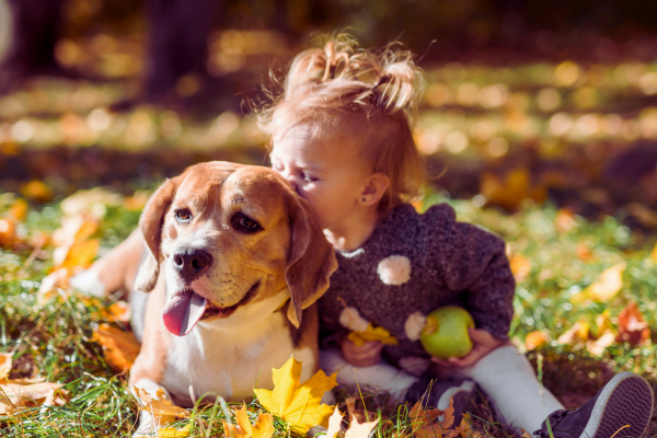 Melhores Raças de Cachorros para Crianças