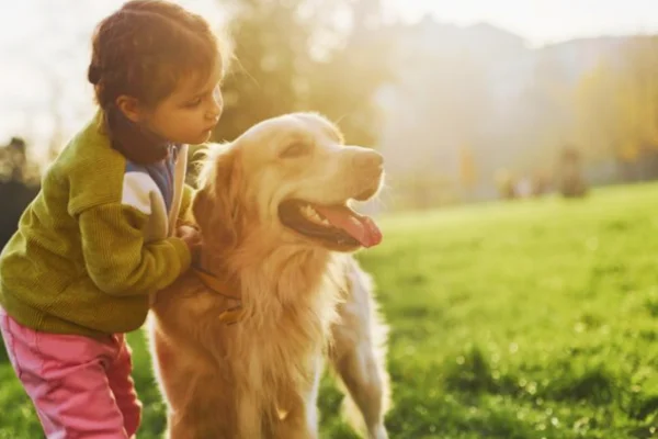 Les meilleures caresses pour les enfants