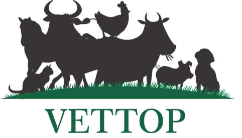 VETTOP-LOGO