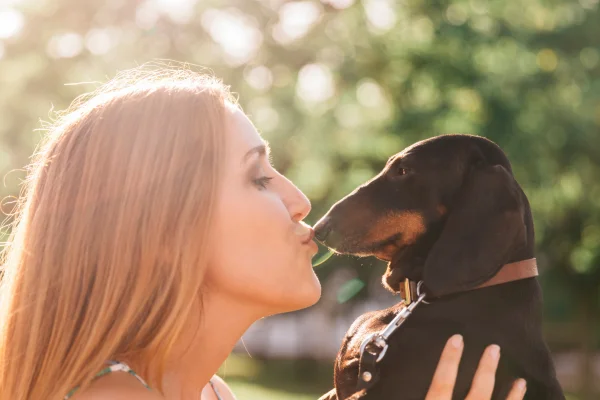 Malattie trasmesse dalla saliva dei cani