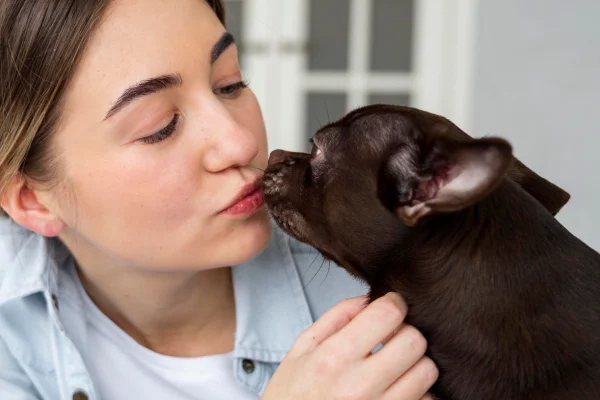 Enfermedades transmitidas por la saliva del perro1