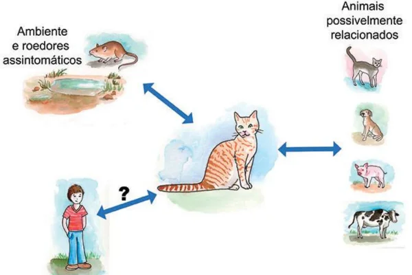 Leptospirosis en gatos: síntomas y tratamiento