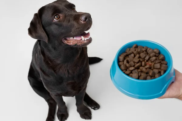 Corantes em Rações para Cães e Gatos (2)