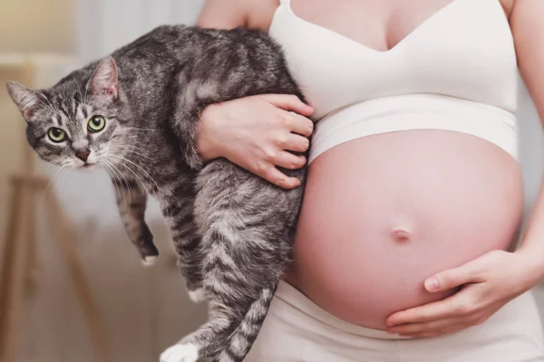 Toxoplasmose et grossesse