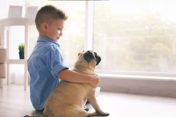 Animais de Apoio Emocional