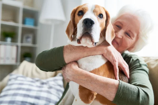 Animais de Apoio Emocional